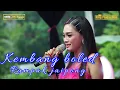Download Lagu KEMBANG BOLED - DESY PARASWATI - ORGAN DESY PARASWATI GROUP PIMP: DESY.P || LIVE SUMBER CIREBON