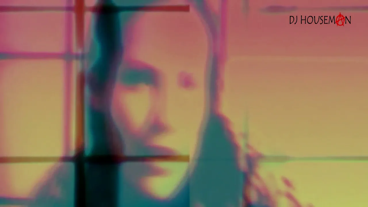 Armand Van Helden - Funk Phenomena (Starkillers - DJ Houseman's Video Edit)