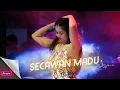 Lagu AINI ZAFARA BIKIN GEMETER! ~ SECAWAN MADU | AB PRO LIVE