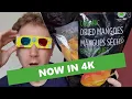 Best ORGANIC DRIED MANGOES Costco Food Review