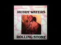 Muddy Waters - She Moves Me