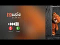 Download Lagu Message Ringtone Notification | Message Ringtone | Pikachu Ringtone | Sms Ringtone #ringtoneshub