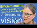 Understanding vision book Chap 3 Efficient Coding 9 - 2 general solution for RFs simplified