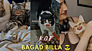k g f bagad billa part 2