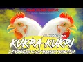 Download Lagu Kukra Kukri Dj Song | DJ Yogesh × DJ Manish Raigarh | Raag Studio Raipur | Singer Pitamber Sahu