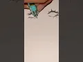 eye drawing
