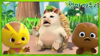엄마 까투리 | Best | 욕심쟁이 친구들 | 베스트 에피소드 모음