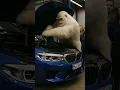 Download Lagu Part 2. The Yeti Mechanic – BMW M5 Shocked Everyone 🧊🛠️