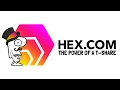 What is HEX Animated Unveiling the Power of T-Shares