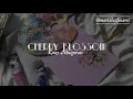 👮‍♀️ cherry blossom - kacey musgraves (lyrics/español) 👮‍♀️