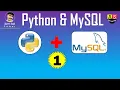 MySQL Connectivity with Python Tutorial MySQL and Python