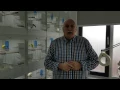 Download Lagu Welkom op mijn vogelkamer