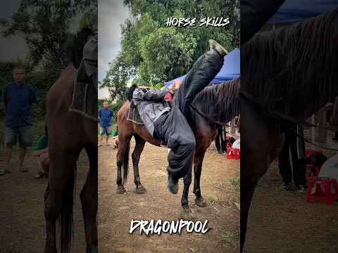 New horse skill unlocked!!!  leave a comment sharing your thoughts on this skill.