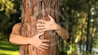 لكتب ع وراق الشجر   جورج وصوف   عاصي دندنها