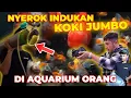 Download Lagu NEKAAT ❗ SENGAJA BAWA OKSIGEN BUAT NYEROK INDUK KOKI JUMBO 😱