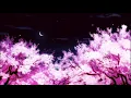 𝕫𝕖𝕓𝕣𝕒 ~ 𝕓𝕖𝕒𝕔𝕙 𝕙𝕠𝕦𝕤𝕖  |  𝕤𝕝𝕠𝕨𝕖𝕕 + 𝕣𝕖𝕧𝕖𝕣𝕓