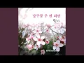 Download Lagu If A Aprocot Flower Bloom Twice