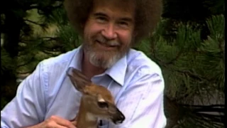 Bob Ross -
