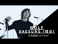 Download Lagu Wolf  DAESUNG (대성)  日本語訳/カナルビ