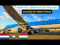 Lagu GO AROUND on KLM's Cityhopper Embraer E195-E2 | AMSTERDAM TO BUDAPEST IN ECONOMY | FLIGHT REVIEW.
