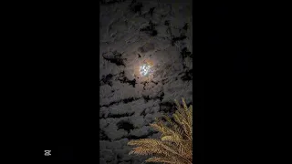 عبدالعزيز الراشد إلى ربي بطيء 