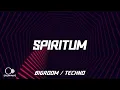 Download Lagu Vini Vici x Maddix x Shibui - Spiritum
