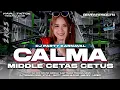 Download Lagu DJ CALMA PARTY VIRAL TIKTOK - MIDDLE CETAS CETUS NROTOK - DJ PARTY BASS BLAYER CEK SOUND KARNAVAL 💫❗