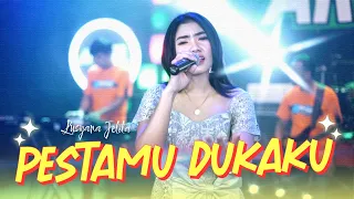your party my sorrow lusyana jelita official live music 