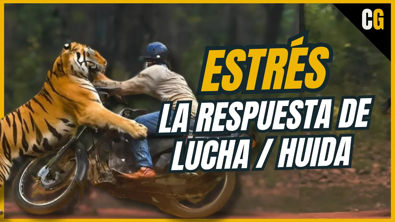 Adrenalina, Lucha y Huida - Efectos y Hormonas del Estrés Agudo - Estrés 1/2