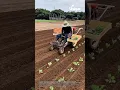 Download Lagu Automated seedling planter: revolutionizing small-scale farming