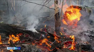 В Омской области сегодня прогнозируется чрезвычайная пожарная опасность