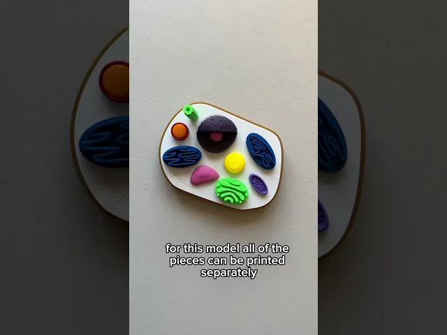 Animal Cell Model w/labels video thumbnail