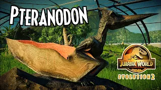 Pteranodon life in Jurassic Park Jurassic World Evolution 2