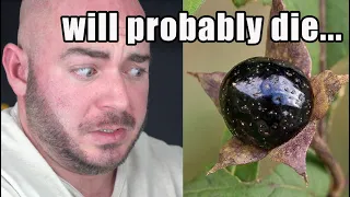 The "Hallucinogenic" Berries That Go HARD