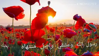 بحبك يا رسول الله وعشقي واصل منتهاه دندنها