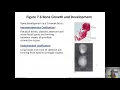 Skeletal System Chapter 7 Part 1