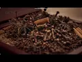 Download Lagu Iklan Camel Kretek - Lebih Mantap, Makin Akrab (2025) @ RCTI, Trans 7, SCTV, Indosiar, \u0026 MNCTV
