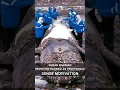 Download Lagu removing barnacles from whale😱 surah rahman❤ sensemotivation #shorts #ytshorts #sea #quran