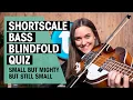 Download Lagu Short Scale Bass Blindfold Quiz | Höfner, Fender, Gibson, Danelectro, Gretsch | Thomann