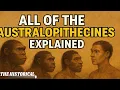 All Of The Australopithecines Explained