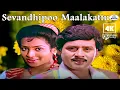 Lagu Sevandhipoo Maalakattu 4K | செவந்திப்பூ மாலைக்கட்டு | S. P. B , K. S. Chithra | Love Duet Song