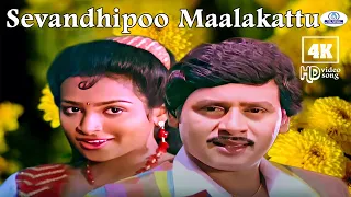sevandhipoo maalakattu 4k s p b k s chithra love duet song