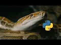 Write Better Python Code In 5 Minutes
