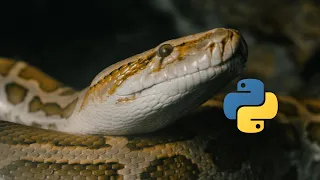 Write Better Python Code In 5 Minutes