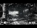 Shinedown - Second Chance / Lyrics