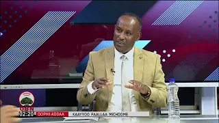 Kaayyoo Faallaa Michoome 