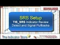 SRS Pullback Indicator for NinjaTrader