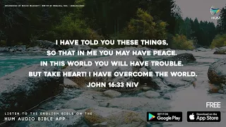 John 16 33 NIV - HUM Bible App