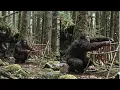 I Thought Sasquatch Were Just a Myth Until One Saved Me From Something I Still Can t Describe
