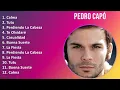 Download Lagu Pedro Capó 2024 MIX Nuevas Canciones - Calma, Tutu, Perdiendo La Cabeza, Te Olvidaré